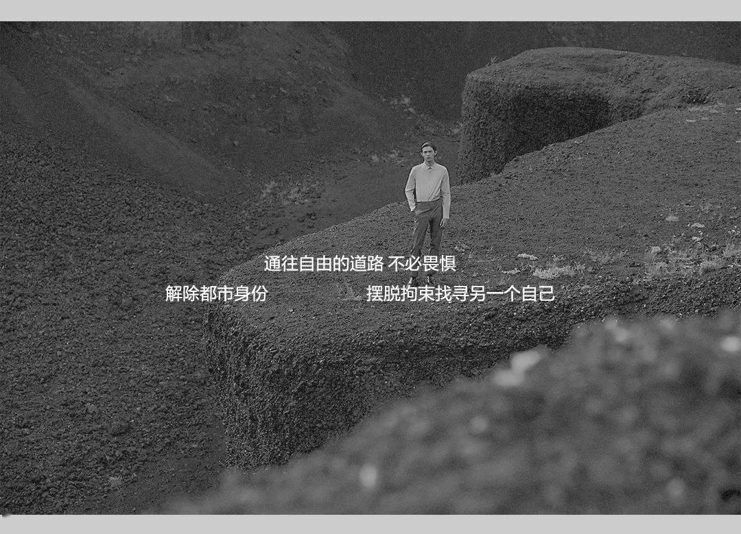 小猫钓鱼正版下载中文版